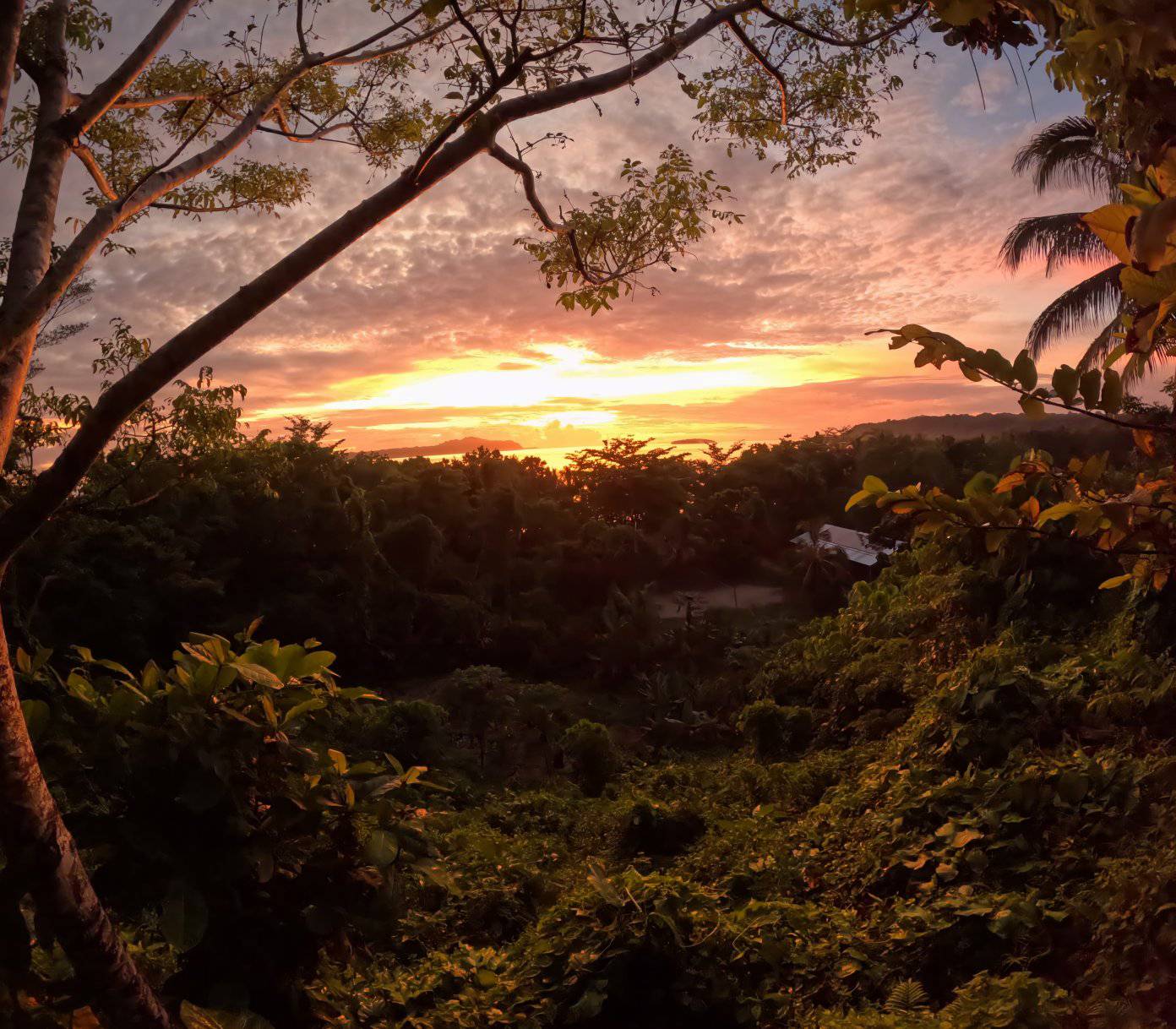 Driftwood Main house view